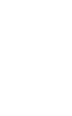 Fire-Works logo
