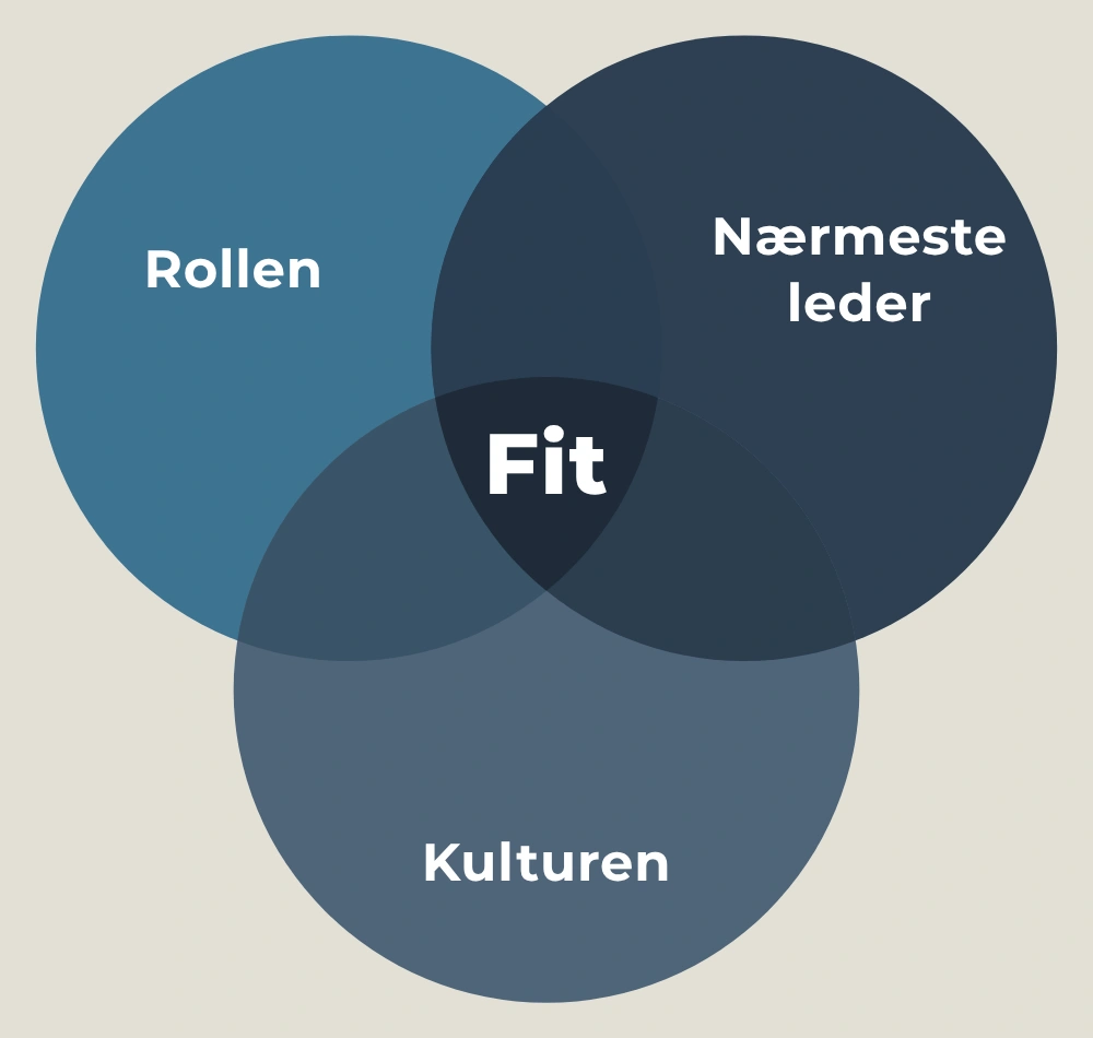 Fit-model: Rollen, Nærmeste leder og Kulturen mødes i Fit